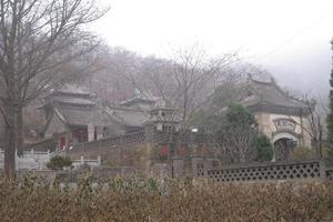 普兰店药流诚丿来门中医(普兰店中医谁看的好) 普兰店药流诚丿来门中医(普兰店中医谁看的好)